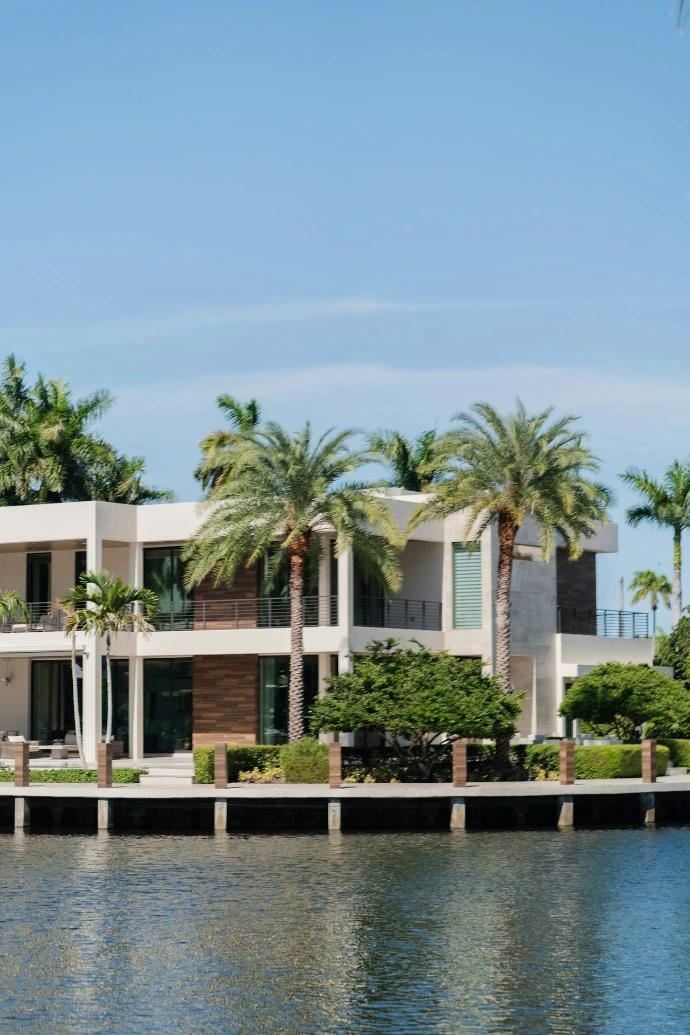 Modern house with palm trees by the water